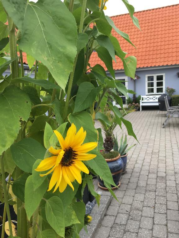 Appartamento Ebeltoft Centrum Esterno foto