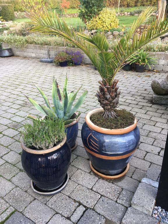 Appartamento Ebeltoft Centrum Esterno foto